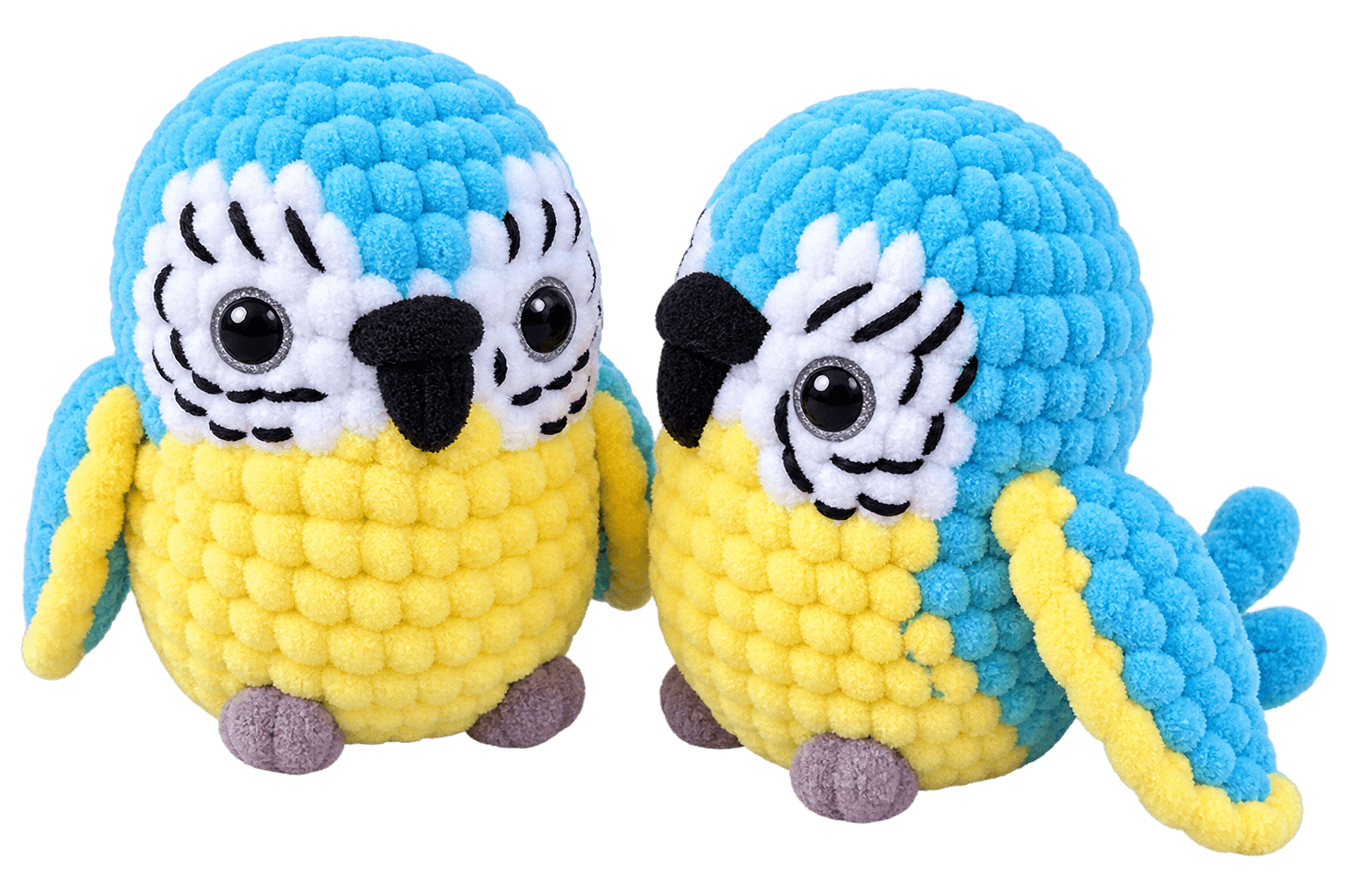 Yellow and blue Macaw